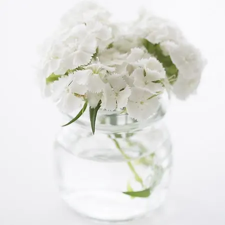 Hotel Ariae Dépendance - Alihotels San Giovanni Rotondo