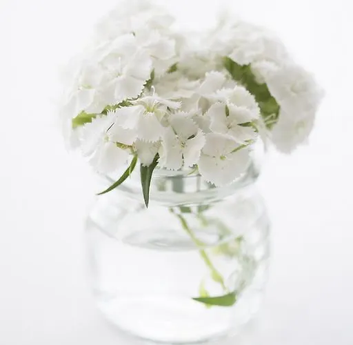 Hotel Ariae Dépendance - Alihotels San Giovanni Rotondo